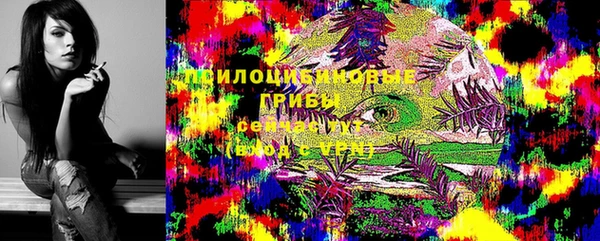 соль ск Алексин